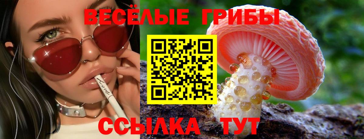 Псилоцибиновые грибы MAGIC MUSHROOMS  Вход с VPN  Псилоцибиновые грибы прущие грибы  Сланцы 