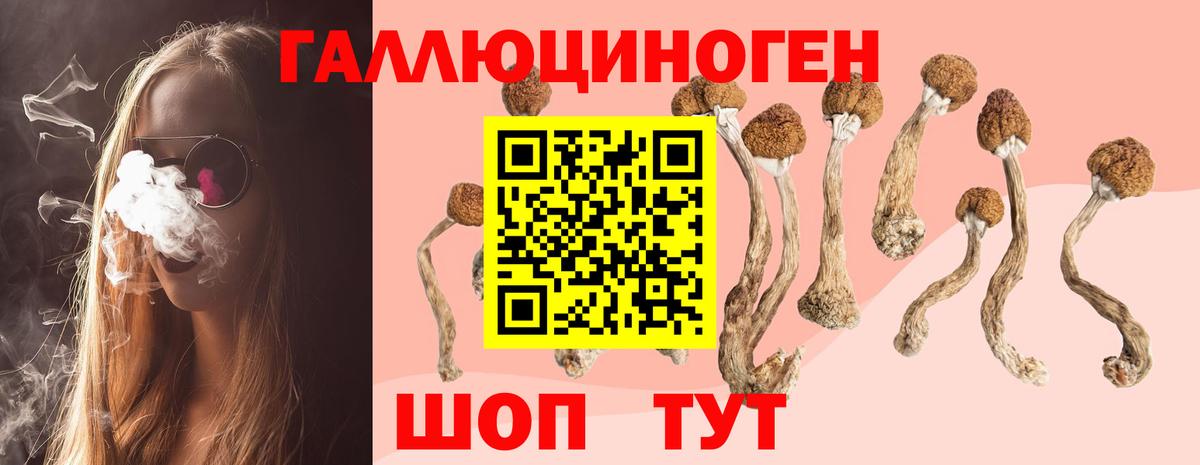 Псилоцибиновые грибы MAGIC MUSHROOMS Сланцы